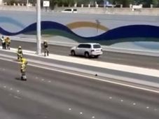 VIDEO: जानिए क्या हुआ जब हाइवे पर आया बिल्ली का एक बच्चा?