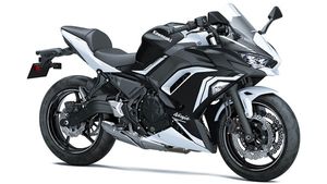 Kawasaki BS6 Model Bookings Open: कावासाकी बीएस6 बाइक की बुकिंग हुई शुरू