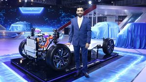 Mahindra Electric Appoints Mahesh Babu As MD-CEO: महेश बाबू बने महिंद्रा इलेक्ट्रिक के नए एमडी-सीईओ