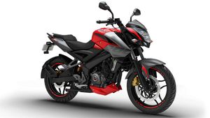 Bajaj Pulsar 250 Spied Testing: बजाज लाने वाली है पल्सर की 250 सीसी मॉडल, मिलेगा नया ऑयल कूल्ड इंजन