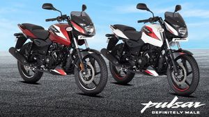 Bajaj Pulsar Dagger Edge Edition: बजाज पल्सर डैगर एज एडिशन भारत में हुई लॉन्च, कीमत 1.01 लाख रुपये से शुरू
