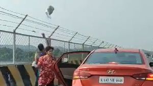 महिला ने कार से नदी में फेंका कचरा, सोशल मीडिया पर वीडियो वायरल हुआ तो पुलिस ने लिया एक्शन