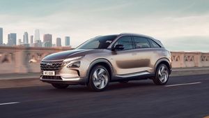 Hyundai ने हाइड्रोजन फ्यूल सेल कारों पर बंद किया काम, जानिये क्या है वजह