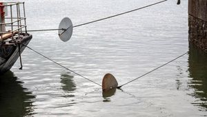 जहाजों पर लगी इन रस्सियों पर क्यों होती है ये लोहे की डिस्क, जानें क्या होता है इनका काम