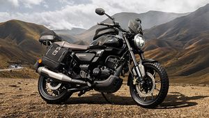 TVS Ronin vs Bajaj Pulsar 250 vs Dominar 250: जानें इन तीनों बाइक्स में कौन है ज्यादा शक्तिशाली