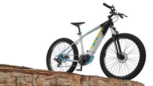 इस इलेक्ट्रिक साइकिल से सामने इलेक्ट्रिक कार भी है फेल, एक बार चार्ज करने पर चलती है 500 किलोमीटर