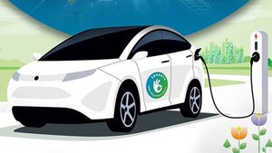 Electric Vehicle खरीदने का शानदार मौका! योगी सरकार दे रही बंपर सब्सिडी, मात्र इतने रुपए में घर लाएं नई कार