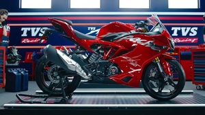 2024 TVS Apache RR 310: क्यों आपको खरीदना चाहिए? जानें इस पॉपुलर मोटरसाइकिल के अपडेटेड मॉडल में क्या है नया