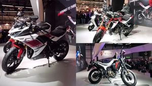 EICMA 2024 में Hero ने Karizma XMR 250, Xtreme 250R और Xpulse 210 से उठाया पर्दा