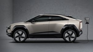 Year Ender: 2024 में इन इलेक्ट्रिक कारों की धमाकेदार एंट्री, आते ही हुईं पॉपुलर, अपने लिए चुने बेस्ट ऑप्शन