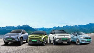 Tata Motors से कोसों दूर रह गए Mahindra, MG और Hyundai; मार्केट में दनादन बेच रही EV