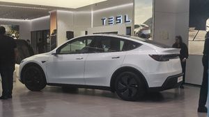 कितनी सैलरी वाले लोगों को खरीदनी चाहिए Tesla Model Y, मिनटों में समझिए Down Payment और EMI का हिसाब