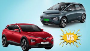 Vinfast VF6 vs MG Windsor EV: किस इलेक्ट्रिक कार को खरीदने में समझदारी? जान लीजिए