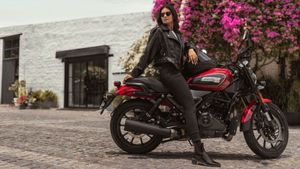 Harley-Davidson X440 हो गई सस्ती! 25 हजार घटने के बाद अब मात्र इतने रुपये में लाएं घर