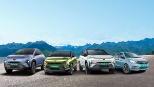 Tata से लेकर Mahindra तक की इलेक्ट्रिक कार की बिक्री बढ़ी, Vinfast ने Hyundai को पछाड़ा