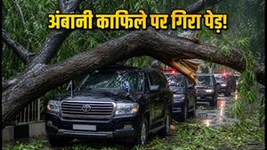 मुंबई रेड अलर्ट: अंबानी के काफिले पर गिरा विशाल पेड़, क्या VVIP गाड़ियां वाकई सुरक्षित हैं?