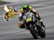 That Moment When A Wasp Got Into Cal Crutchlow's Riding Leathers