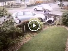 Toyota Yaris Plows Into Pedestrians In Essex
