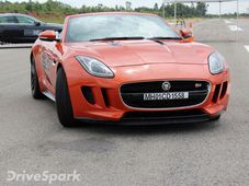 Jaguars On The Prowl In The Garden City — Exploring The Art Of Performance