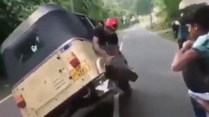 Auto Rickshaw Stunts: Video Shows Wheel Being Changed While Driving On A Highway