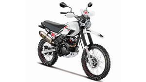 EICMA 2019: Hero XPulse 200 Rally Kit Showcased In An Attempt To Improve Off-Road Ability