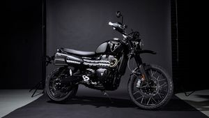 Triumph Scrambler 1200 Bond Edition Revealed: Limited To 250 Units Worldwide