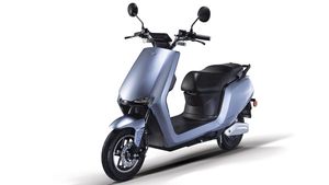 BGauss Unveils Its First Two Models For The Indian Market: Read More To Find Out