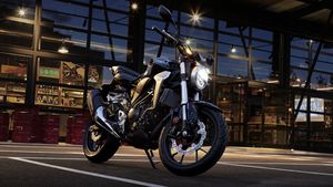 Honda CB300R Unlisted From Website: BS6 Model Expected To Arrive Soon?