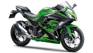 New Kawasaki Ninja 300 BS6 India Launch Timeline Revealed: Will Rival The TVS Apache RR310