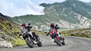 Ducati Multistrada V4 Recalled Over Faulty Valve Guides; Will Replace Entire Engine Unit