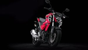 Upcoming Yamaha FZ-X Spied Once Again Ahead Of Its Launch: Details & More!