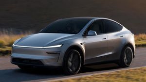 Tesla Completes One Year In India, Trails BMW, Mercedes-Benz And BYD