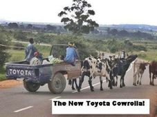 ಇಂಧನ ದುಬಾರಿಯಾದರೆ ಮತ್ತೆ ಎತ್ತಿನ ಕಾರು