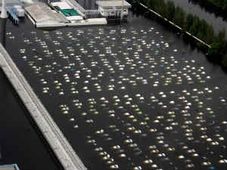 ಸಮಾಧಿಯಾಗಲಿರುವ ಹೋಂಡಾದ 1400 ಕಾರುಗಳು!