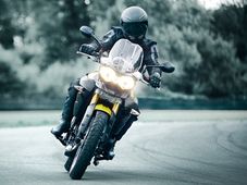 ಕಾಡಿನಿಂದ ರಸ್ತೆಗೆ ಬಂದ ಹುಲಿ- ಟ್ರಯಂಪ್ ಟೈಗರ್