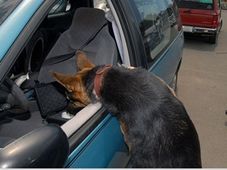 ಕಾರಿನಲ್ಲಿ ಕಾಣೆಯಾದ ಹತ್ತು ಸಂಗತಿಗಳ ಸವಿಸವಿ ನೆನಪುಗಳು