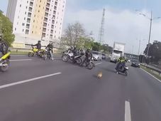 ಹೆದ್ದಾರಿಯಲ್ಲಿ ಶ್ವಾನದ ಜೀವ ರಕ್ಷಿಸಲು ಬೈಕ್ ಸವಾರರ ಪೇಚಾಟ