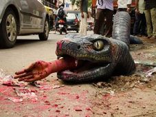 ಬೆಂಗಳೂರಿನಲ್ಲಿ ಅನಕೊಂಡ ಪ್ರತ್ಯಕ್ಷ; ಫೇಸ್‌ಬುಕ್‌ನಲ್ಲಿ ಮಿಂಚಿದ ಟಾಪ್ 10 ಲೇಖನ