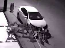 ಬೀದಿನಾಯಿಗಳಿಂದ ಕಾರಿನ ಬಂಪರ್ ಪೀಸ್ ಪೀಸ್- ಕಾರಣ ಕೇಳಿದ್ರೆ ನಿಮಗೂ ಶಾಕ್..!!