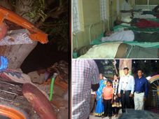 ಮದುವೆಗೆ ಹೊರಟಿದ್ದ ಕ್ಯಾಂಟರ್ ಮರಕ್ಕೆ ಡಿಕ್ಕಿ- ಘಟನೆಯಲ್ಲಿ 13 ಮಂದಿ ದುರ್ಮರಣ