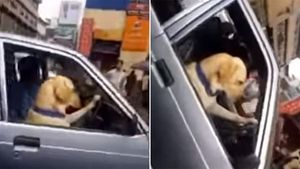 ಕಾರು ಚಾಲನೆಯಲ್ಲಿ ಈ ನಾಯಿ ಸಿಕ್ಕಾಪಟ್ಟೆ ಫೇಮಸ್- ಆದ್ರೆ ಅಸಲಿ ಕಾರಣ ಕೇಳಿದ್ರೆ?