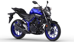 ಜಿ310ಆರ್ ಮತ್ತು ಟಿಎನ್‌ಟಿ 300 ಬೈಕ್‌ಗಳಿಗೆ ಪ್ರತಿಸ್ಪರ್ಧಿಯಾಗಿ ಯಮಹಾ ಎಂಟಿ-03