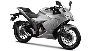 ದೀಪಾವಳಿಗೆ ಬಿಡುಗಡೆಯಾಗಲಿದೆ ಸುಜುಕಿ ಜಿಕ್ಸರ್ 250 ನೇಕೆಡ್ ರೋಡ್‍‍ಸ್ಟರ್ 