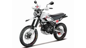 ಇಐಸಿಎಂಎನಲ್ಲಿ ಅನಾವರಣಗೊಂಡ ಎಕ್ಸ್‌ಪಲ್ಸ್ 200 ರ‍್ಯಾಲಿ ಕಿಟ್ 