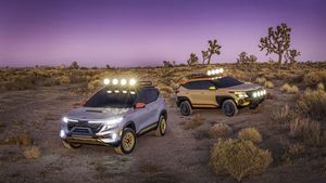 ಆಟೋ ಎಕ್ಸ್‌ಪೋ 2020: ನಾಲ್ಕು ಹೊಸ ಕಾರುಗಳನ್ನು ಪ್ರದರ್ಶನಗೊಳಿಸಲಿದೆ ಕಿಯಾ ಮೋಟಾರ್ಸ್