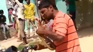 ಎಣ್ಣೆ ಮತ್ತಿನಲ್ಲಿ ಸ್ನ್ಯಾಕ್ಸ್ ಬದಲು ಸ್ನೇಕ್ ತಿಂದ ಭೂಪ..!