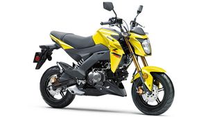 ಹೊಸ ನವೀಕರಣಗಳೊಂದಿಗೆ ಬಿಡುಗಡೆಗೊಂಡ ಕವಾಸಕಿ ಝಡ್125 ಪ್ರೊ ಮಿನಿ ಬೈಕ್