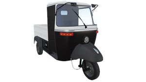 ಟೆಸ್ಲಾಗೆ ಗುಡ್ ಬೈ ಹೇಳಿದ ಭಾರತೀಯ: ಮಾಲಿನ್ಯ ರಹಿತ ಭಾರತವೇ ಇವರ ಗುರಿ!