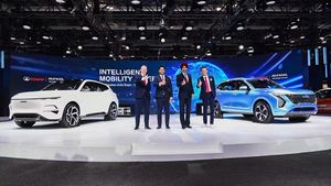 ಭಾರತದಲ್ಲಿ ಕಾರು ಬಿಡುಗಡೆಯ ಯೋಜನೆಯನ್ನು ಕೈಬಿಟ್ಟ ಗ್ರೇಟ್ ವಾಲ್ ಮೋಟಾರ್ಸ್‌