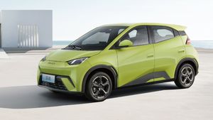 BYD Seagull: 405 ಕಿಮೀ ರೇಂಜ್‌ನ ತೀರಾ ಕಡಿಮೆ ಬೆಲೆಯ ಬಿವೈಡಿ ಸೀಗಲ್ ಇವಿ ಹೆಸರು ನೋಂದಣಿ, ಪ್ರಳಯ ಪಕ್ಕಾ..!